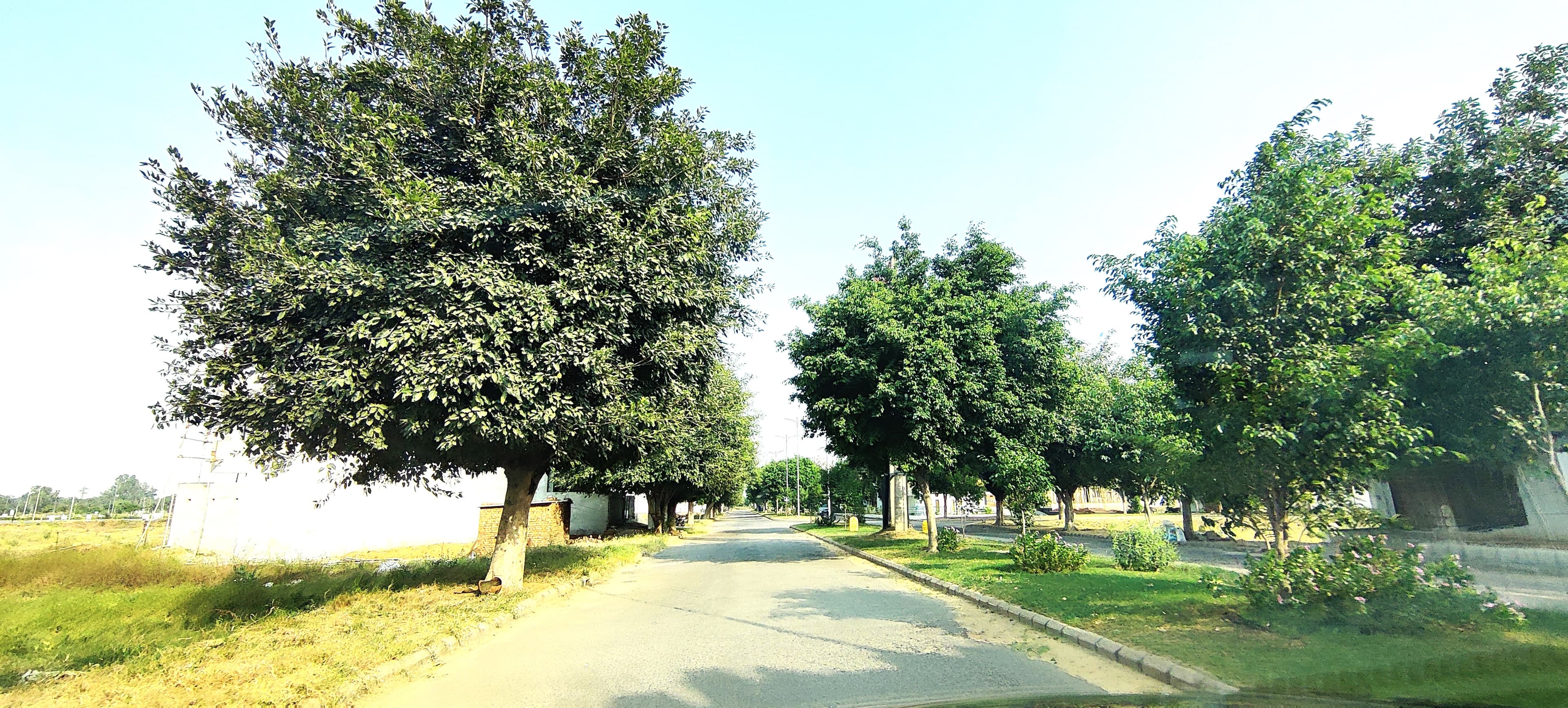 Bestech City Center — 300 Sq.Yd West Corner, 4 Open Sides - Photo 5
